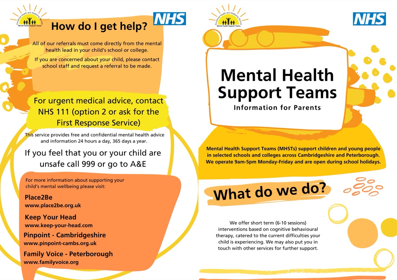 Mental Health Support Teams For Parents June22